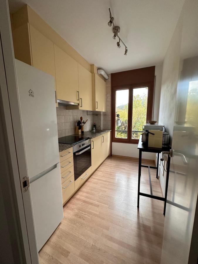 Ferienwohnung El Bressol De La Muntanya Ripoll Exterior foto